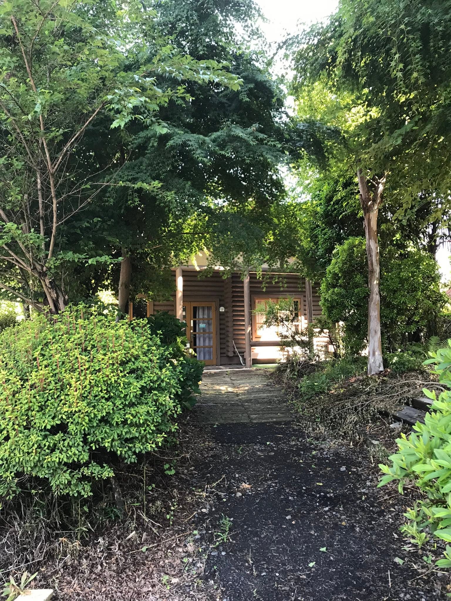 緑に包まれた小径の先にたたずむログハウス「丸太小屋ほたる」