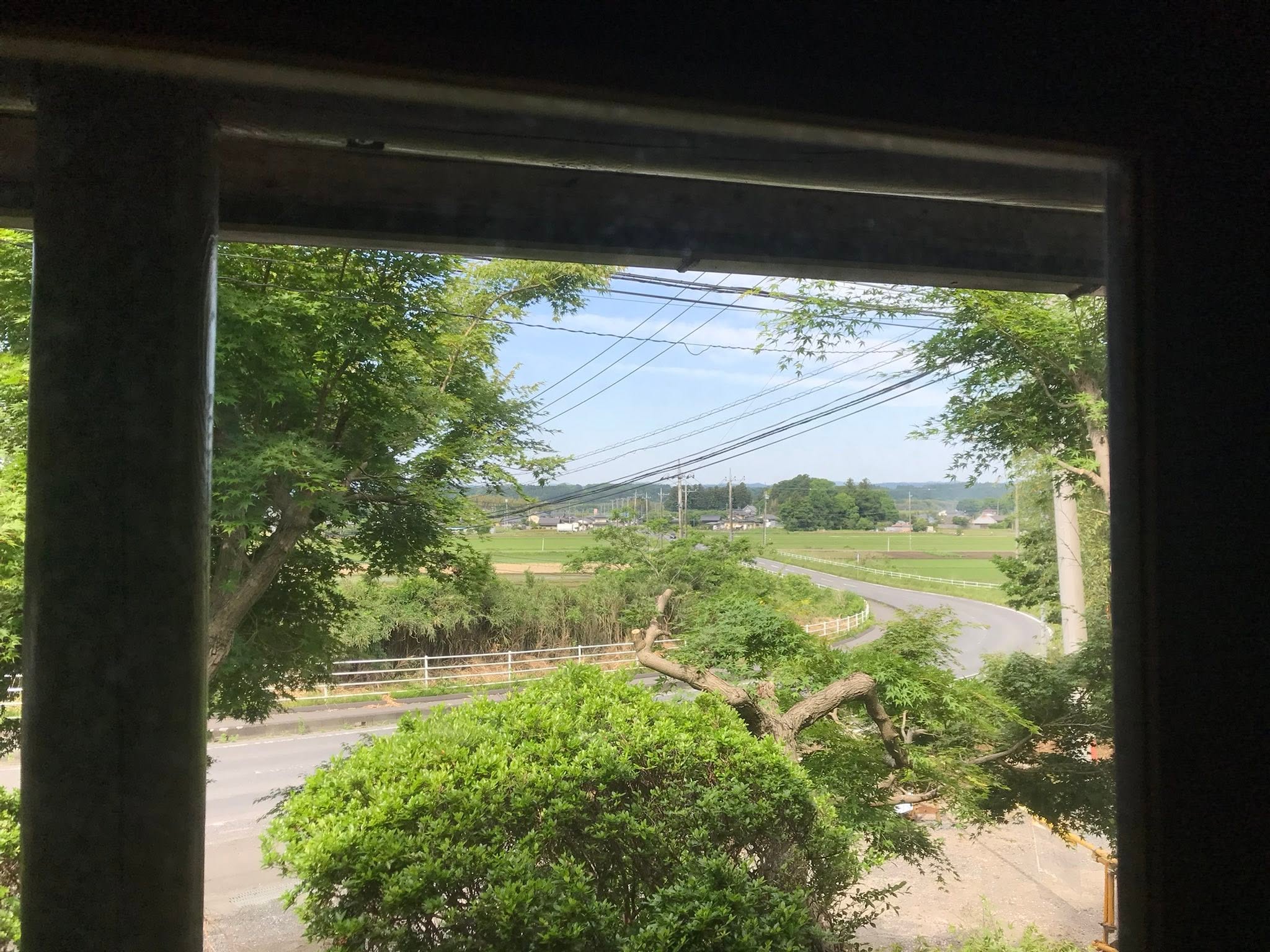 窓から見える緑と道の眺め