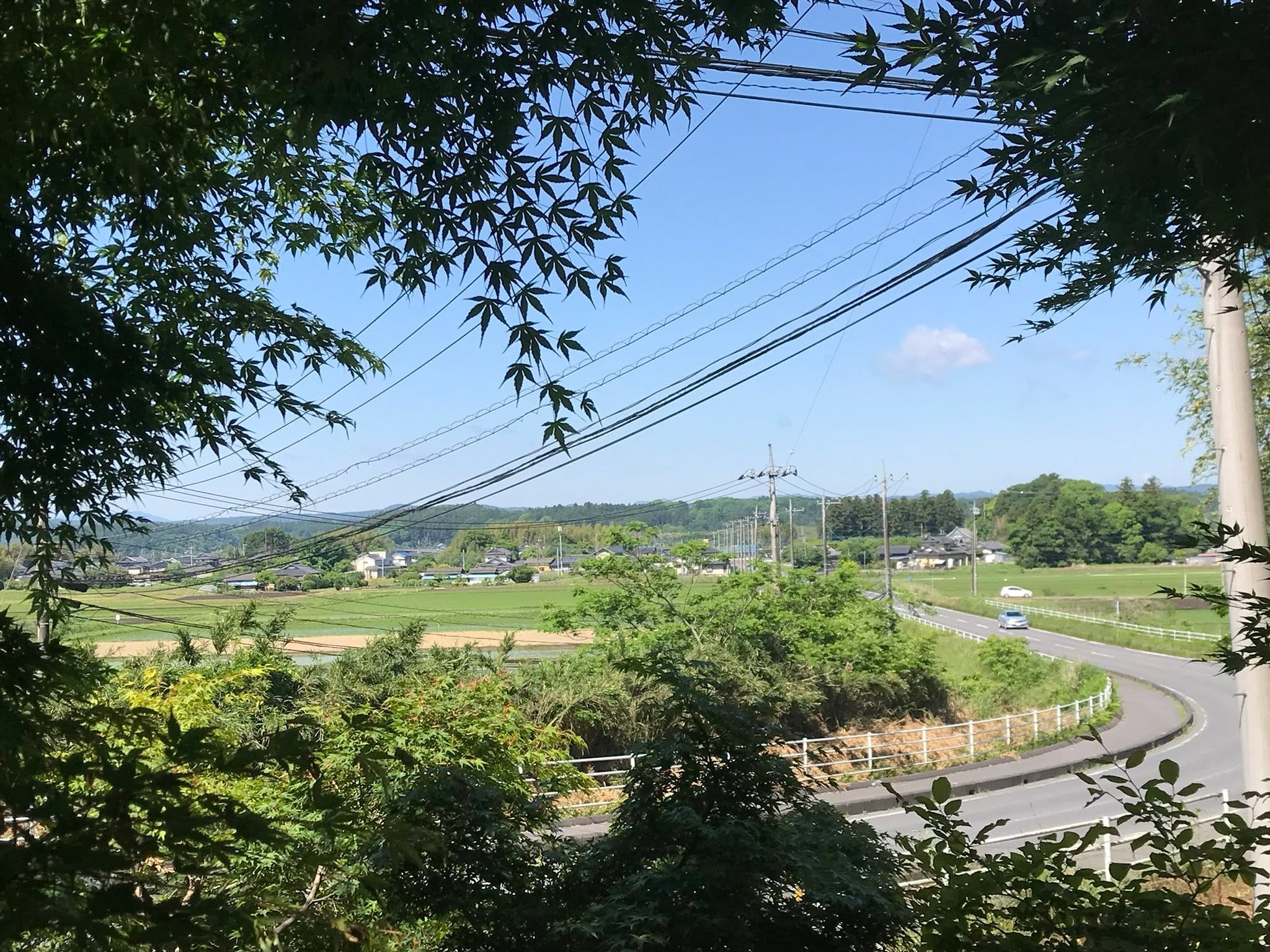 窓から見える田園風景と里山の道